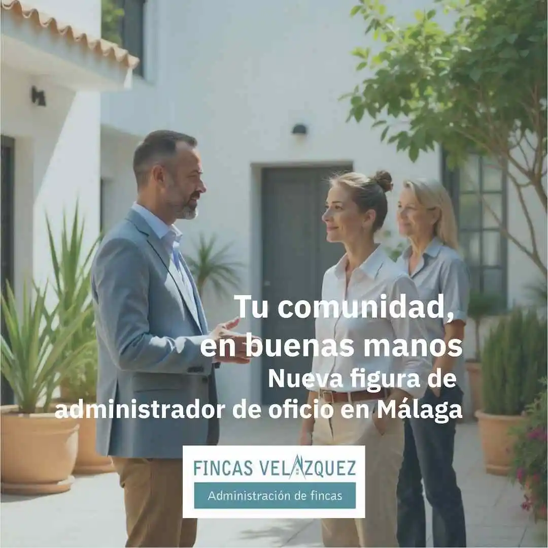 Tu Administrador de Fincas de Oficio en Málaga: Fincas Velázquez